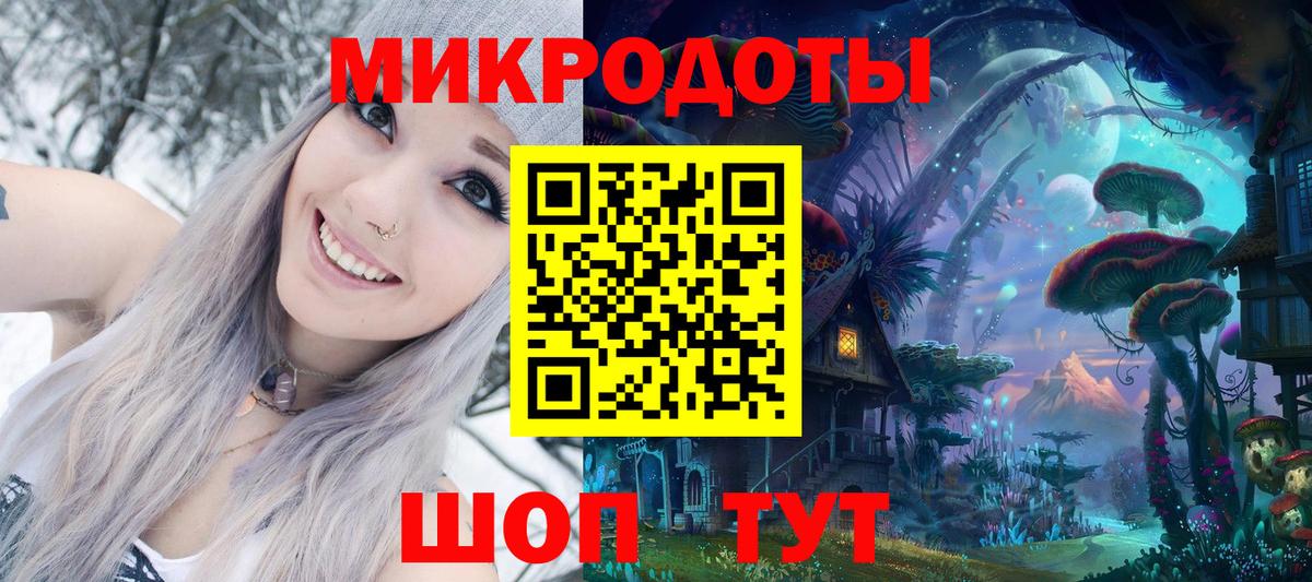 Псилоцибиновые грибы Psilocybine cubensis Курганинск