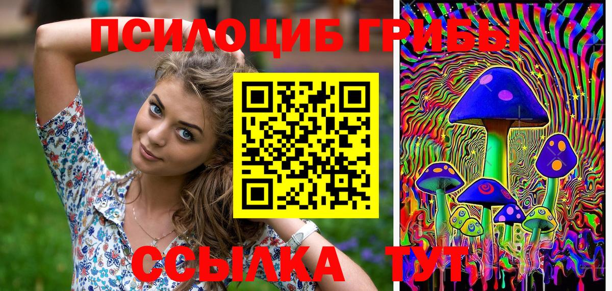 Галлюциногенные грибы ЛСД  Вход с VPN  Галлюциногенные грибы мицелий  Курганинск 